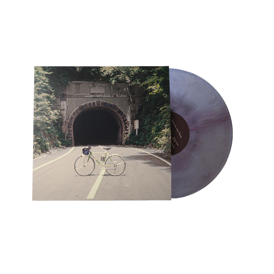The Backseat Lovers When We Were Friends on 12" 'Galaxy' Vinyl